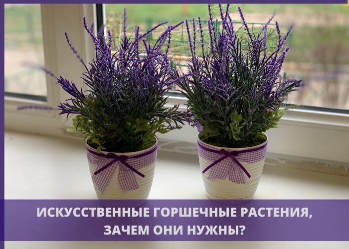 Искусственные горшечные растения, зачем они нужны?